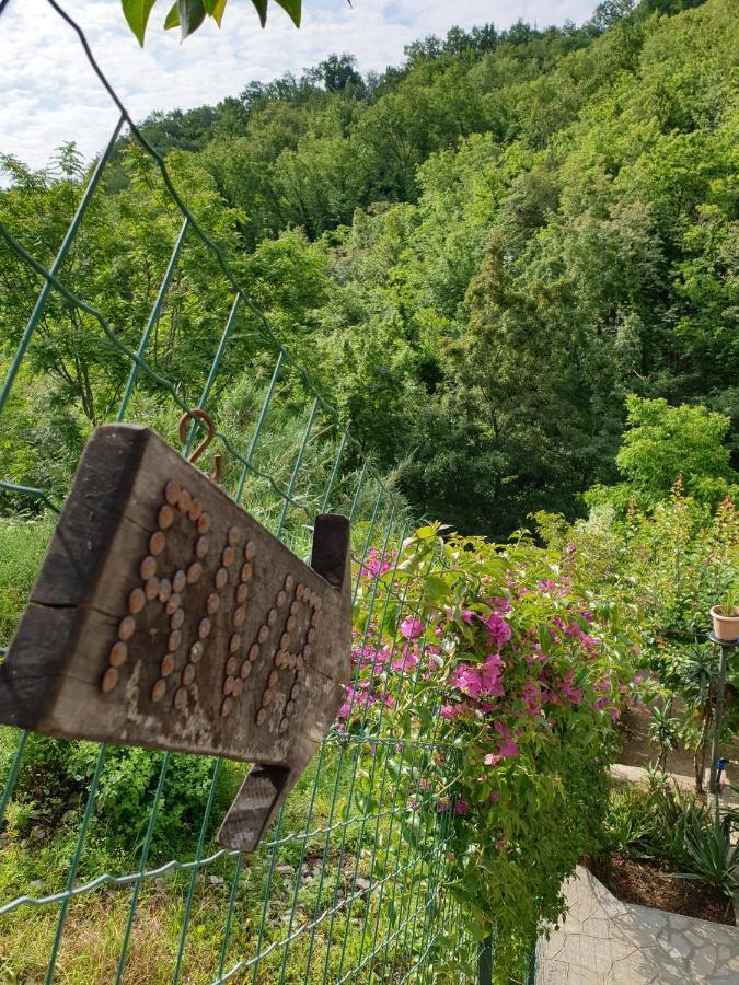 カモーリ Collina E Mareヴィラ エクステリア 写真