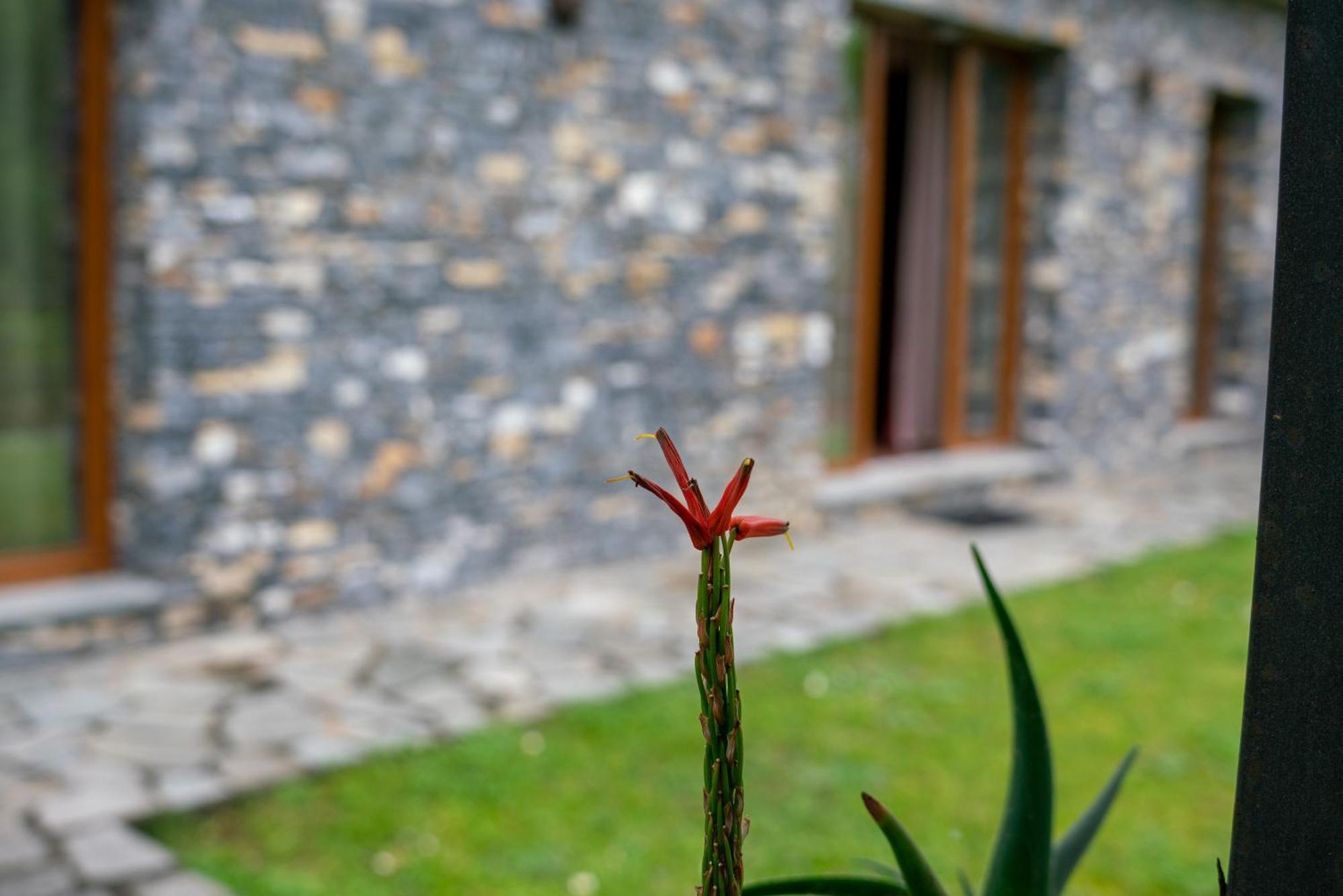 カモーリ Collina E Mareヴィラ エクステリア 写真