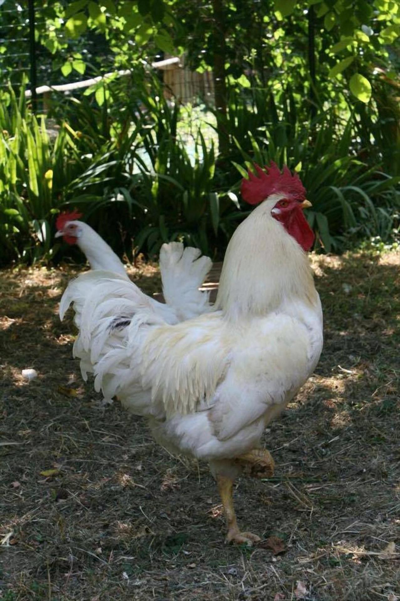 カモーリ Collina E Mareヴィラ エクステリア 写真