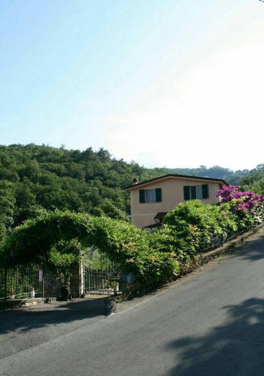 カモーリ Collina E Mareヴィラ エクステリア 写真